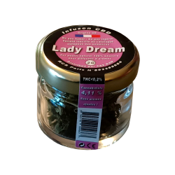 Lady Dream Pot